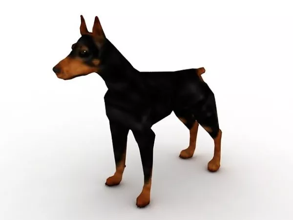 Doberman Dog Animal 3d model Doberman Dog Animal 3d model