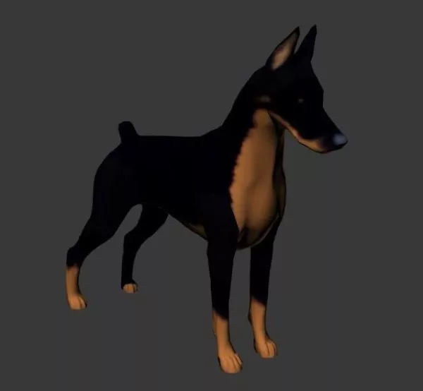 Meerkat 3d model