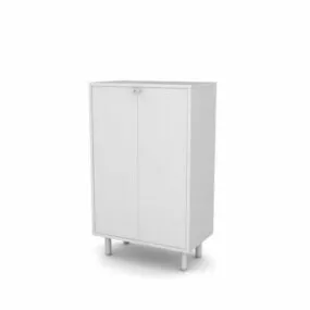 Document File Cabinet Furniture 3d model