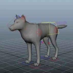 Dog Rigging 3d model
