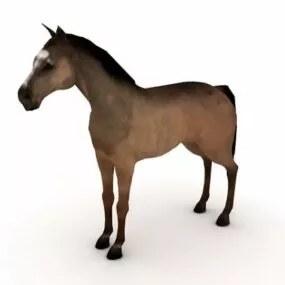 Domestic Horse Animal 3d model