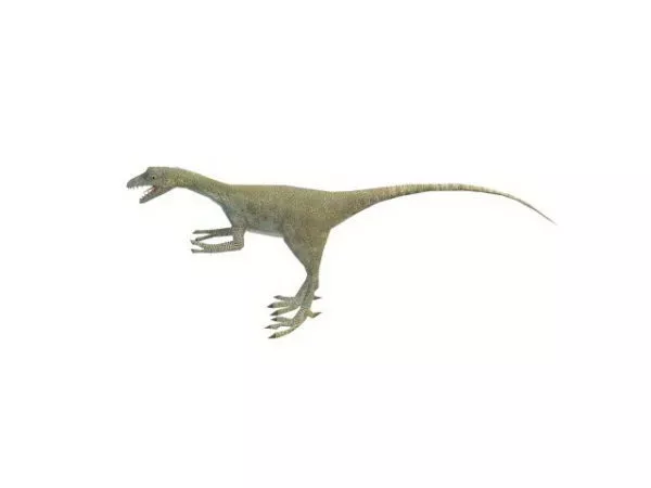 Hippodraco Dinosaur 3d model