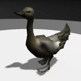 Duck Running 3d model