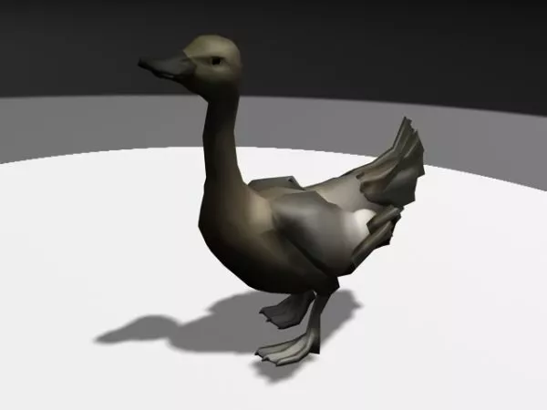 Duck Running 3d model Duck Running 3d model