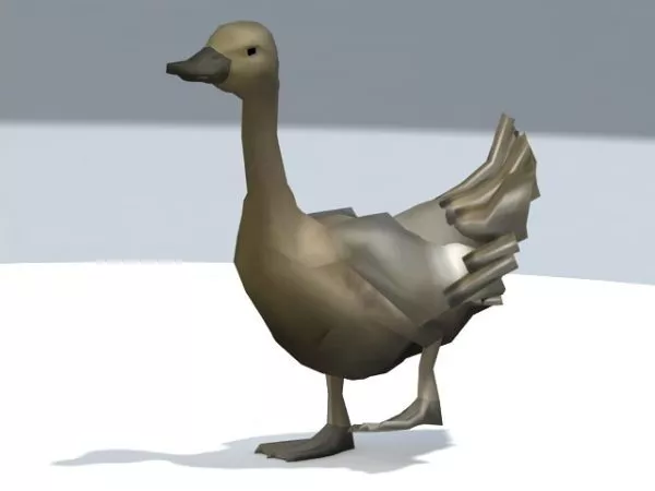 Duck Walking 3d model Duck Walking 3d model