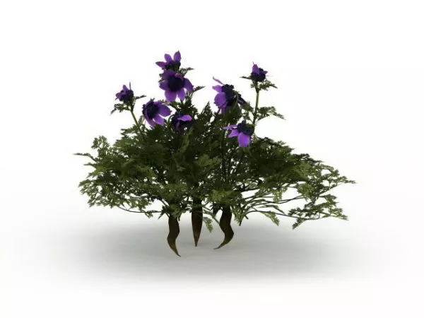 Dwarf Bushes With Purple Flower 3d model Dwarf Bushes With Purple Flower 3d model