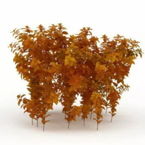 Dwarf Fothergilla Fall Color 3d model