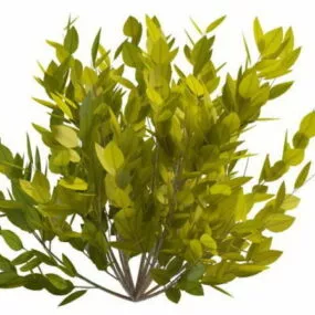 Dwarf Shrub 3d model