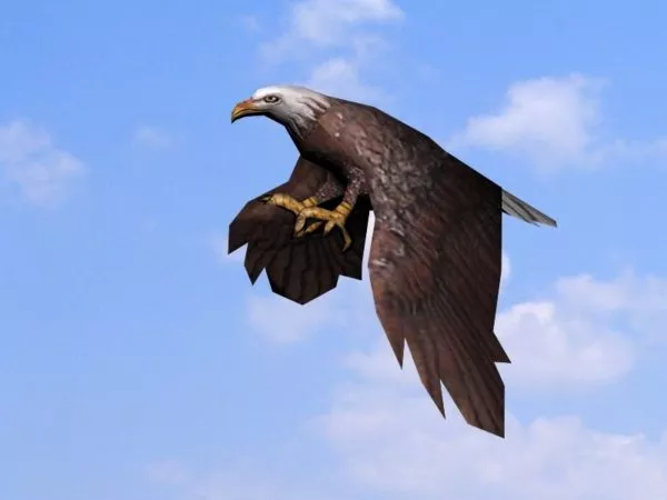 Undead Bird Skeleton 3d model