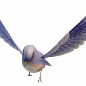Eastern Blue Bird Animal 3d model