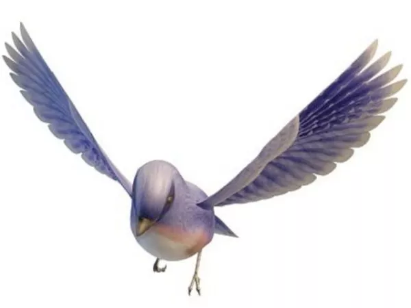Egret 3d model
