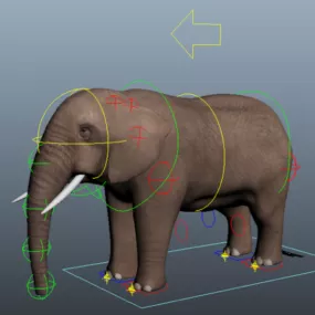 Animal Elephant Rig 3d model