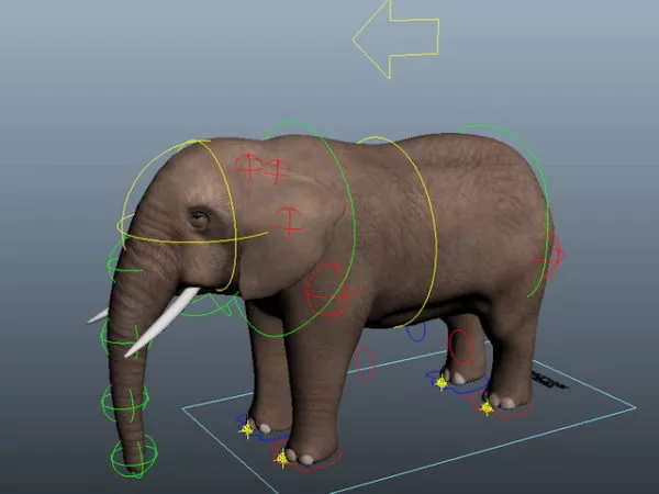Elephant Rigging 3d model Elephant Rigging 3d model