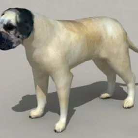 English Mastiff 3d model