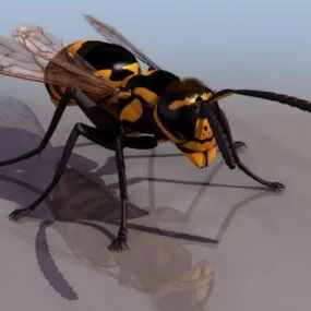 European Wasp Animal 3d model