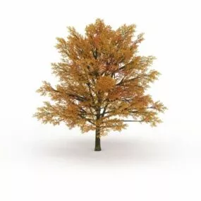 Fall Color Tree 3d model