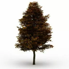 Fall Foliage Tree 3d model