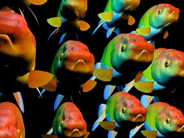 Fancy Goldfish School Animal 3d model Fancy Goldfish School Animal 3d model