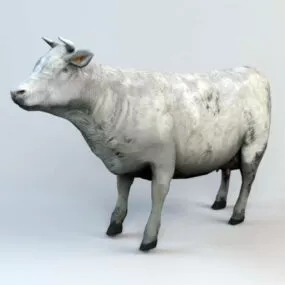 Farm Cow Animated Rig 3d model