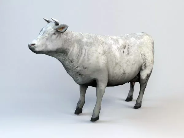 Farm Cow Animated Rig 3d model Farm Cow Animated Rig 3d model