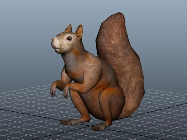 Squirrel Cartoon 3d model