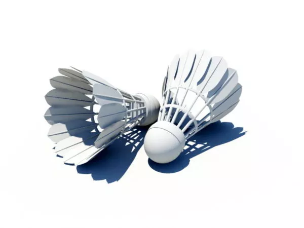 Badminton Racket With Shuttles 3d model