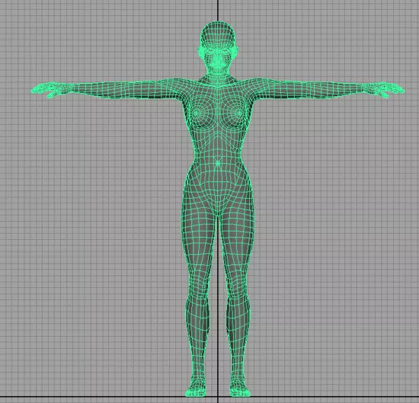 Man Body Human Anatomy 3d model