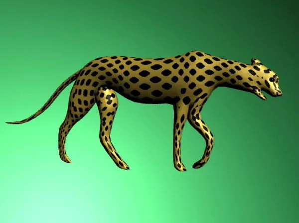 Snow Leopard Animal 3d model