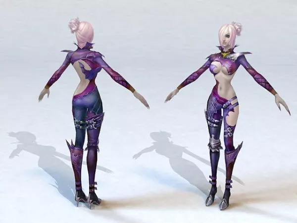Female Elf Rogue 3d model Female Elf Rogue 3d model