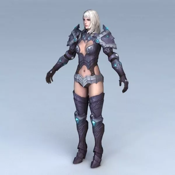 Female Paladin Concept 3d model Female Paladin Concept 3d model