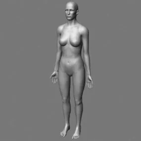 Female Body Base Mesh Character 3d model