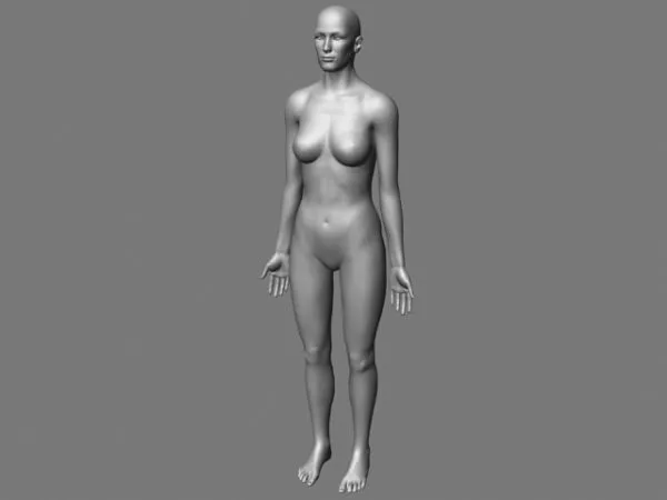 Versatile Body Mesh 3d model