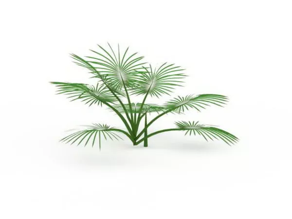 Lowpoly Palm Trees On Beach 3d model