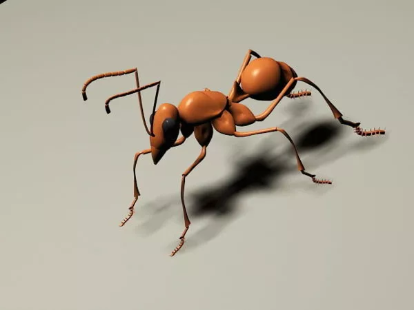 Red Ant Insect 3d model