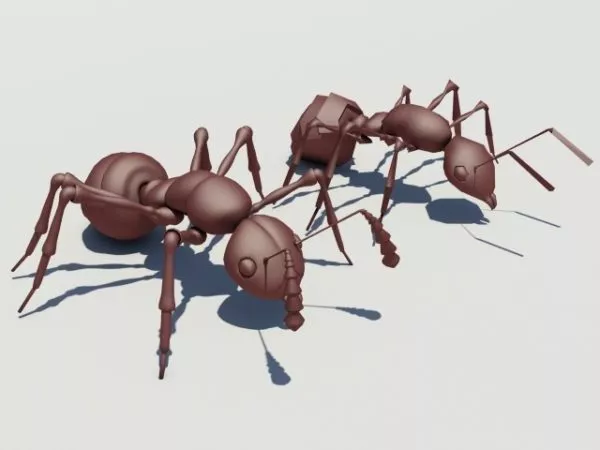 Red Ant Insect 3d model