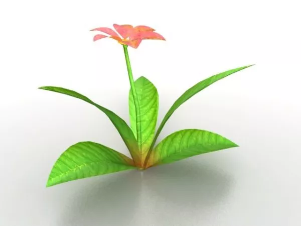 Flower And Leaves 3d model Flower And Leaves 3d model