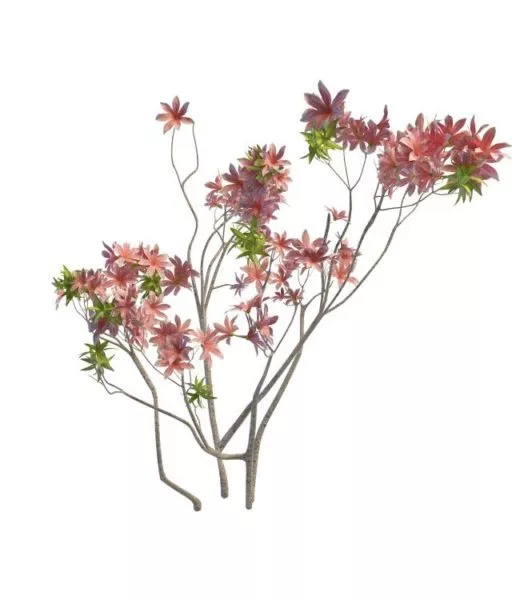 Flower Branches 3d model Flower Branches 3d model