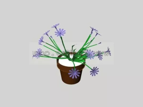 Flowers And Pot Plants Plant 3d model Flowers And Pot Plants Plant 3d model
