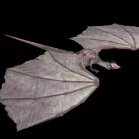 Fly Dragon 3d model