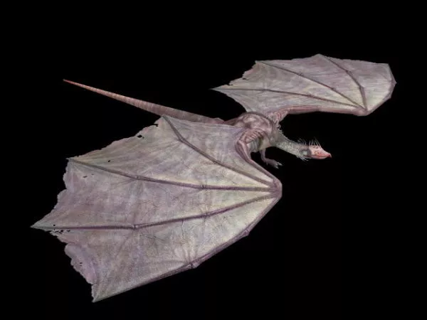 Fly Dragon 3d model Fly Dragon 3d model