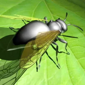 Flying Ant 3d model