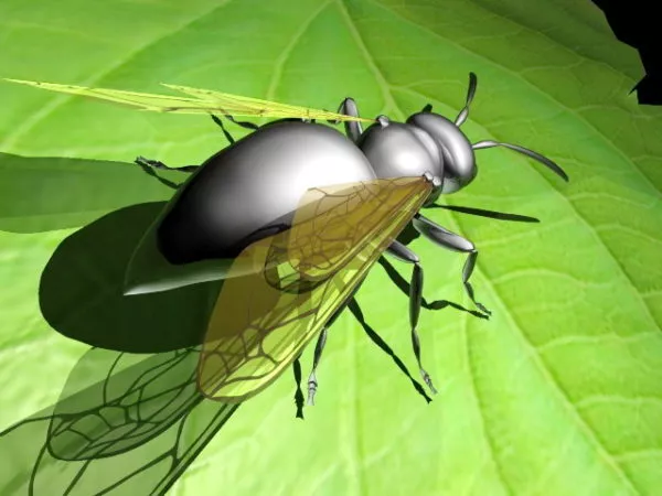 Flying Ant 3d model Flying Ant 3d model