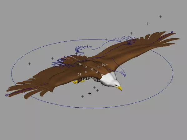 Flying Bald Eagle Rig 3d model Flying Bald Eagle Rig 3d model