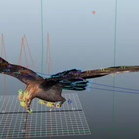Flying Eagle Rig 3d model