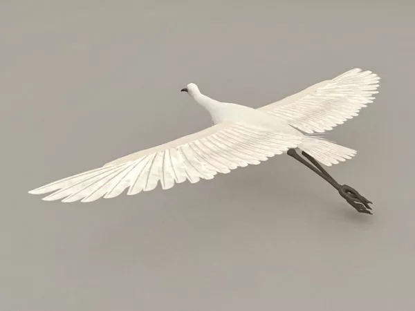 Flying Egret 3d model Flying Egret 3d model