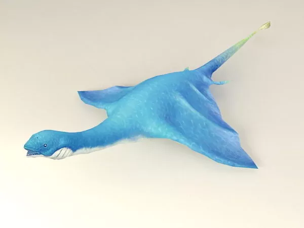 Flying Turtle 3d model Flying Turtle 3d model