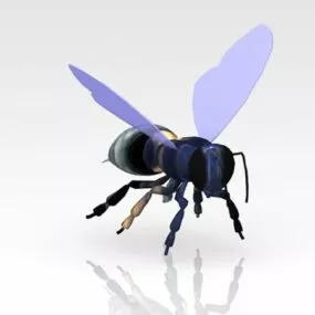 Flying Bee Animal 3d model