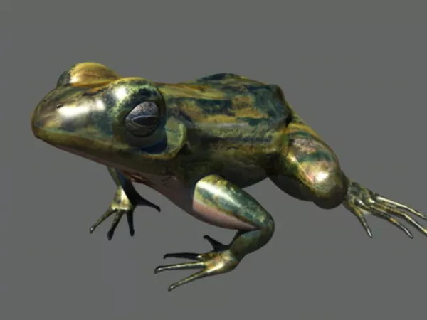 Jumping Frog Rigged 3d model