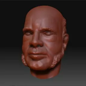 Full Beard Head Character 3d model