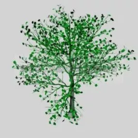 Full-grown Tree 3d model